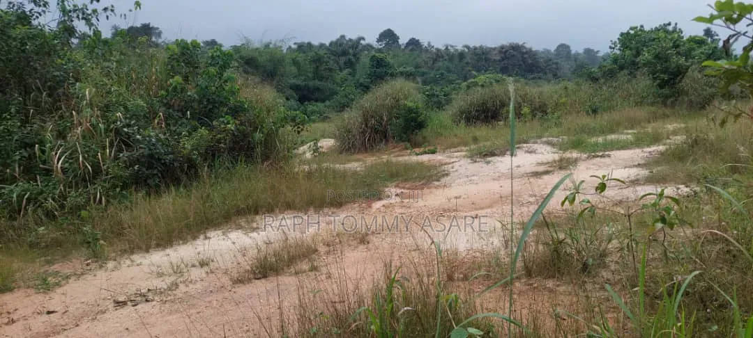 Farmland at Kwabere Kasaam for Sale