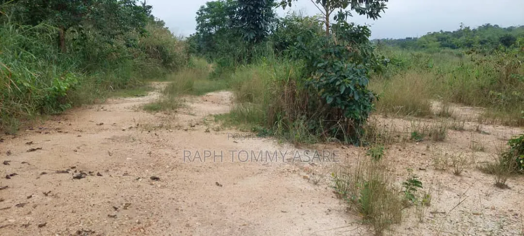 Farmland at Kwabere Kasaam for Sale