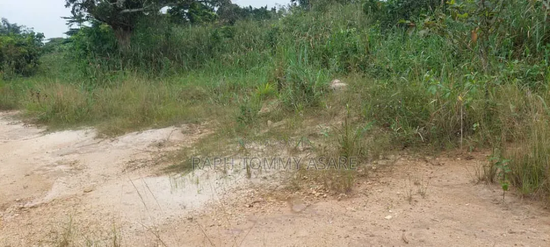 Farmland at Kwabere Kasaam for Sale