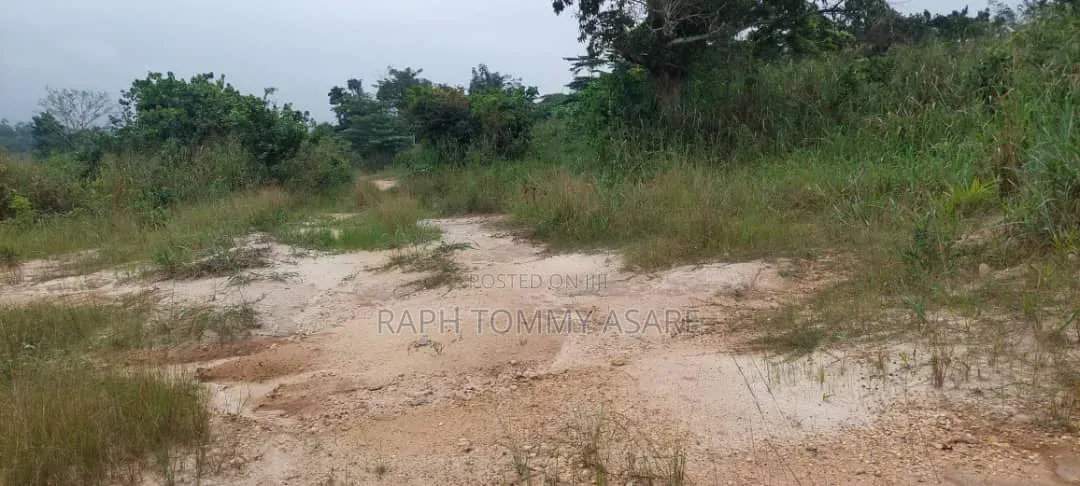 Farmland at Kwabere Kasaam for Sale