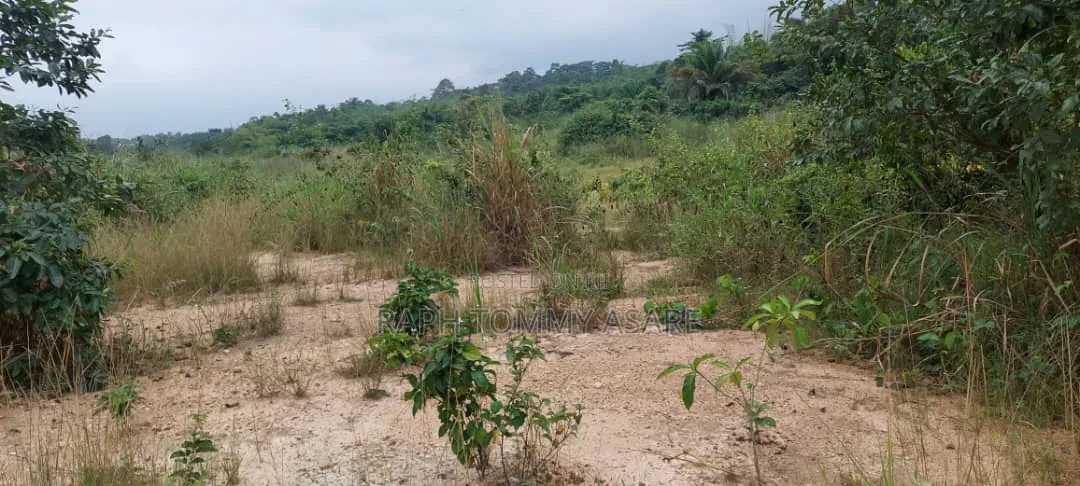 Farmland at Kwabere Kasaam for Sale