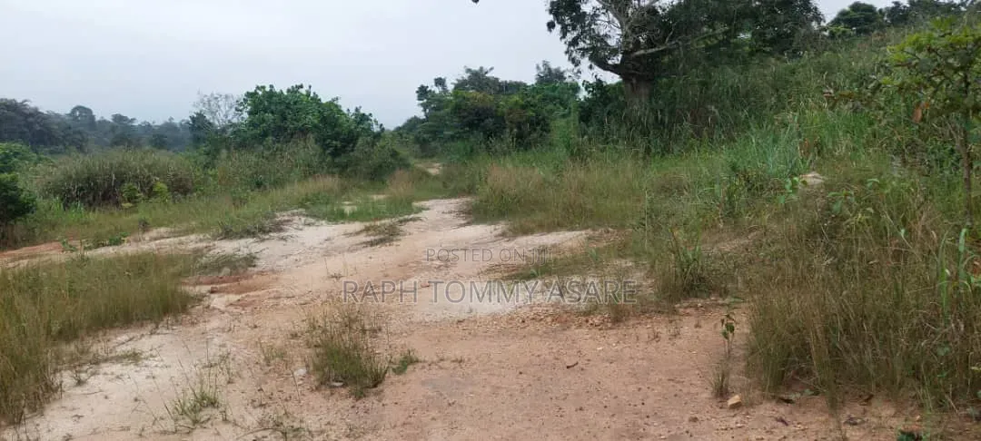 Farmland at Kwabere Kasaam for Sale