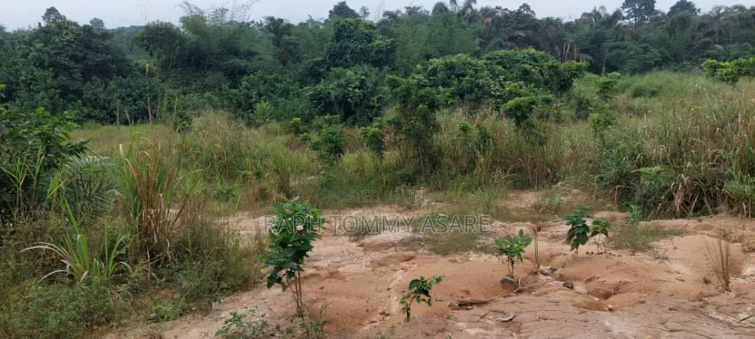 Farmland at Kwabere Kasaam for Sale