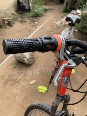 Adult Hard Body Bicycle