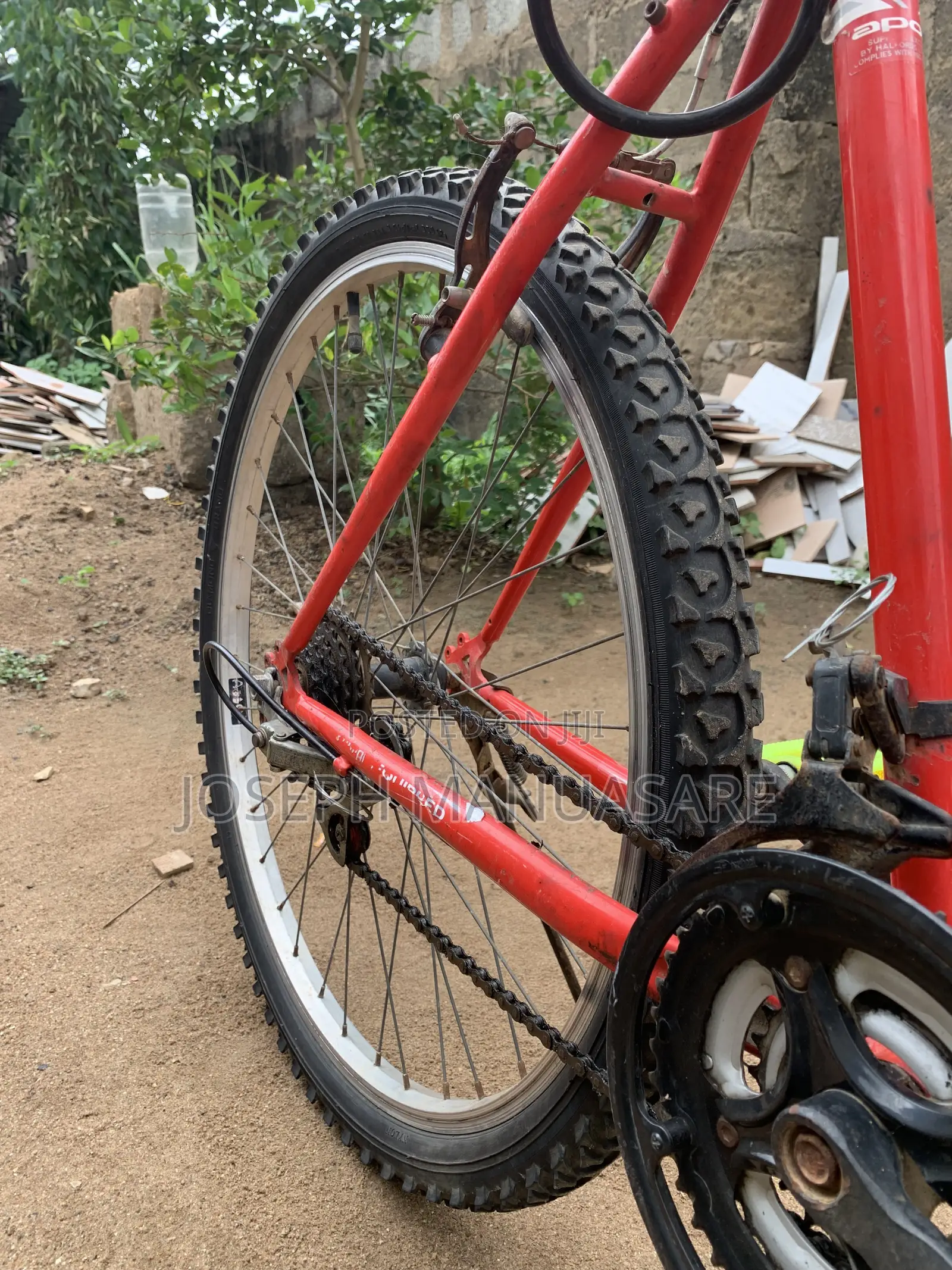 Adult Hard Body Bicycle