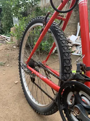 Adult Hard Body Bicycle