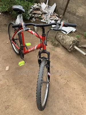 Adult Hard Body Bicycle