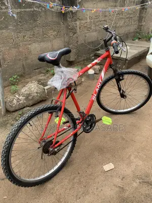 Adult Hard Body Bicycle