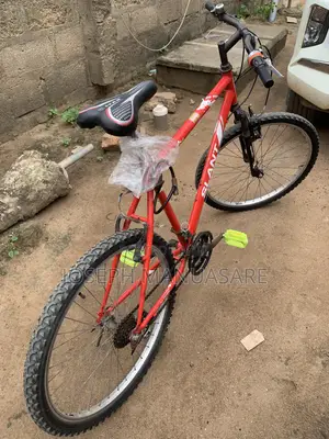 Adult Hard Body Bicycle