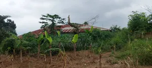 Plot of Land in the Middle of Kwabere Kasaam Town for Sale