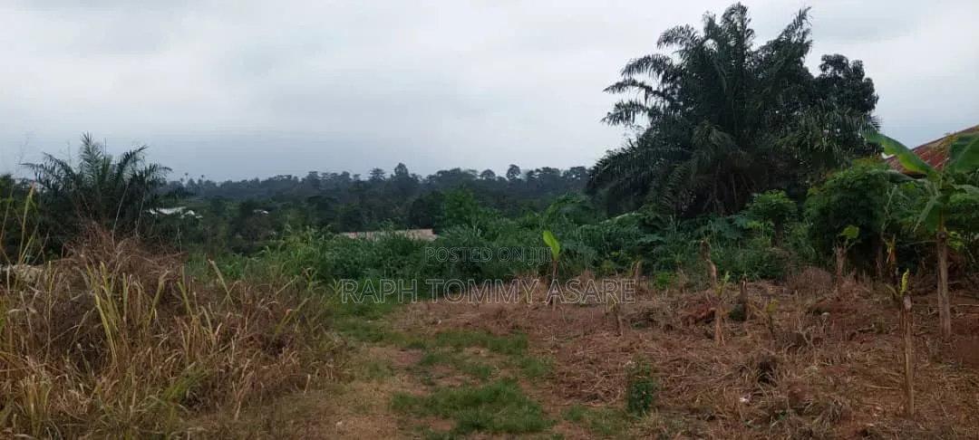 Plot of Land in the Middle of Kwabere Kasaam Town for Sale