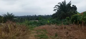 Plot of Land in the Middle of Kwabere Kasaam Town for Sale