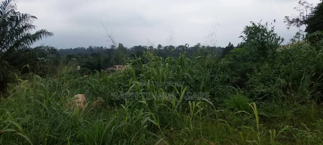 Plot of Land in the Middle of Kwabere Kasaam Town for Sale