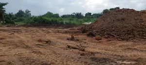 One and Half Plot of Land for Sale at Kwabere Kasaam With No Litigatio