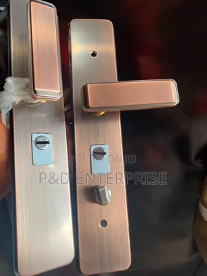 Quality Handles for China Doors