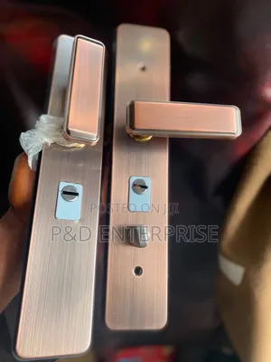 Quality Handles for China Doors