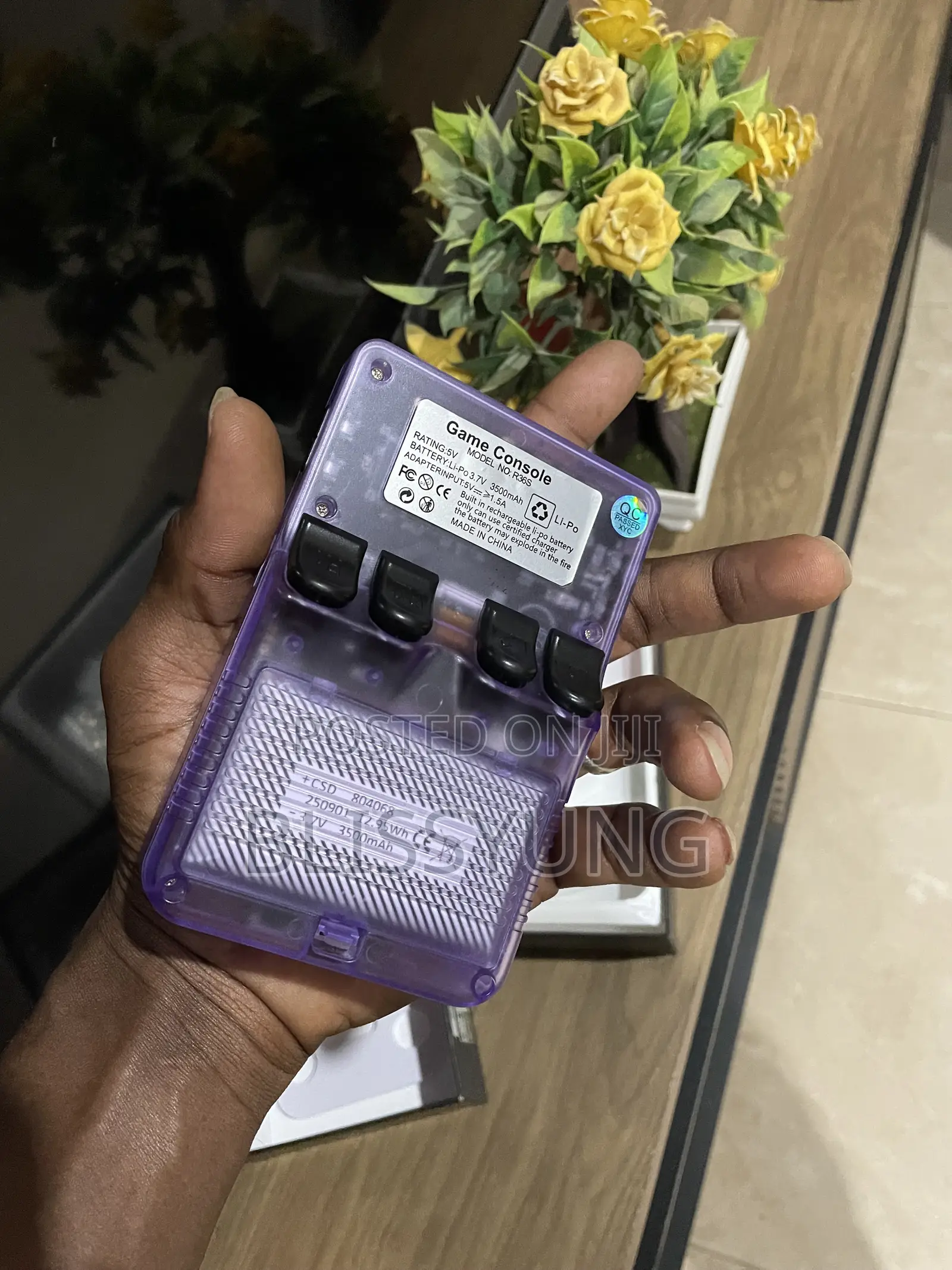 All in Portable Gaming Console