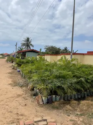 2 Acre of Land for Sale