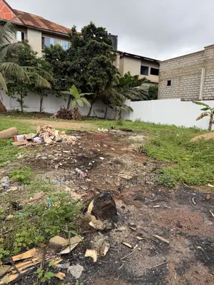 Half Plot of Land for Sale – Ahenema Kokoben