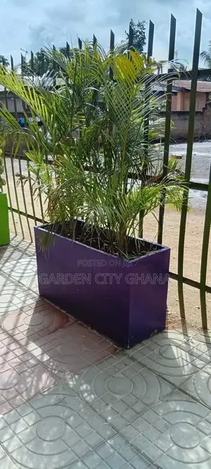 Flower Pot