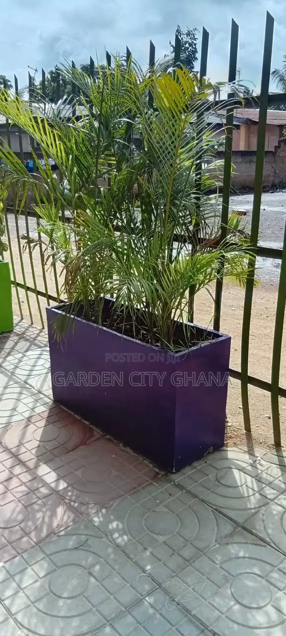 Flower Pot