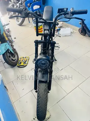 Electric Bike