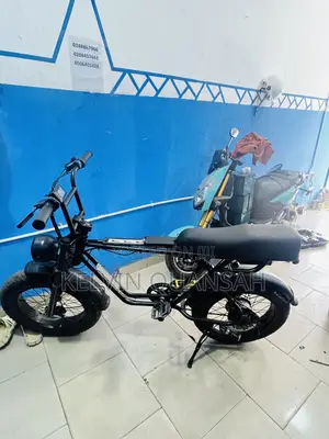 Electric Bike