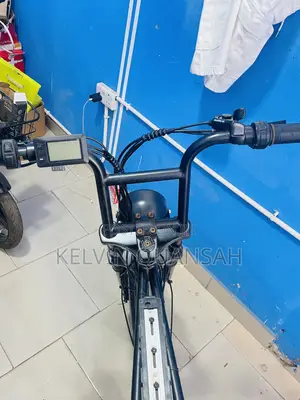 Electric Bike