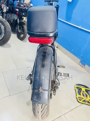 Electric Bike