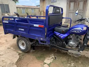 Tricycle 2025 Blue