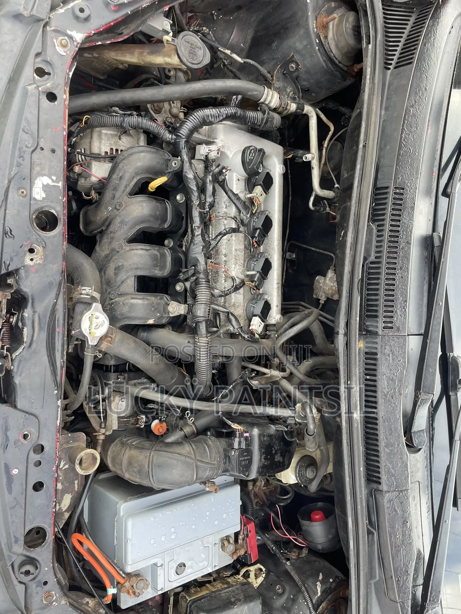 Scion xA Base 2006 Red