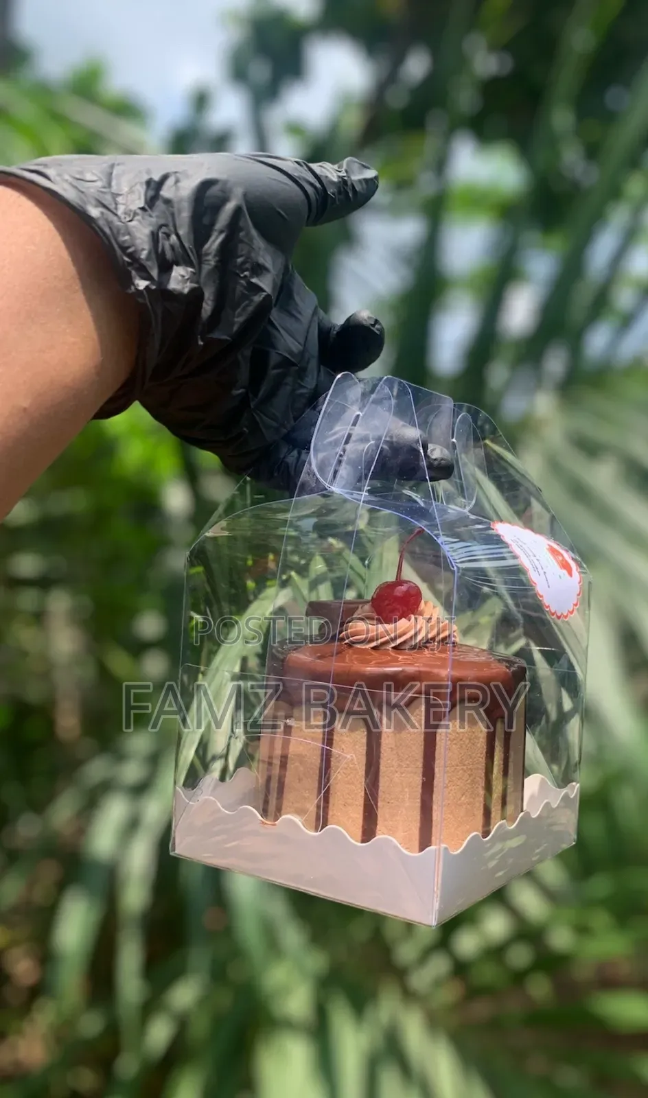 Affordable Bento Cakes