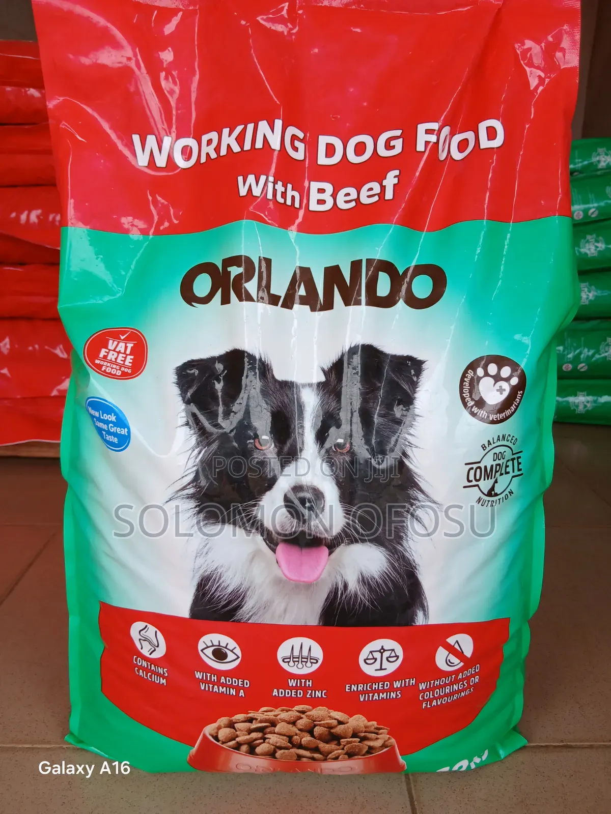 Orlando Dog Food