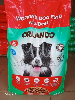 Orlando Dog Food
