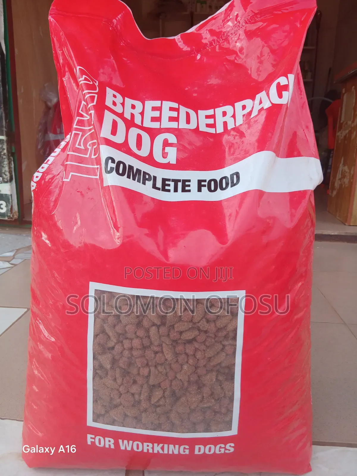 Orlando Dog Food