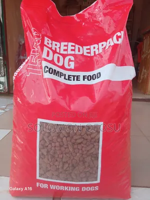 Orlando Dog Food