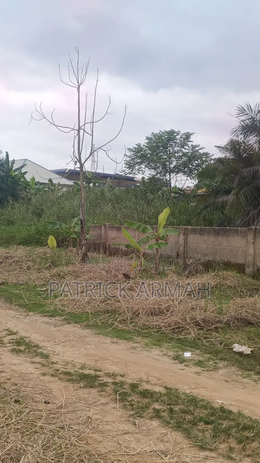 Land at Kwanwoma Afrancho for Sale