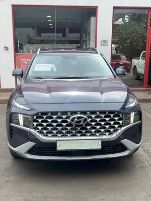 Hyundai Santa Fe 2021 Gray