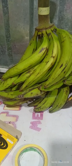 Plantain for Sale at LINKAY CONVENIENT STORE