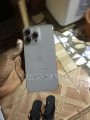 Apple iPhone 15 Pro Max 256 GB Gray