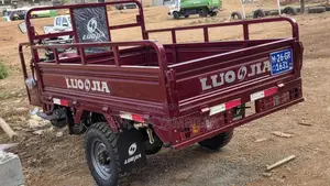 New Luojia LJ125-6 2025 Red