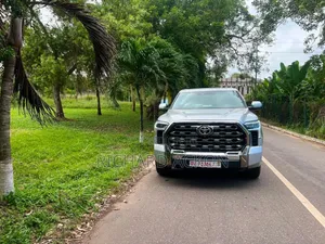 Toyota Tundra Platinum CrewMax 5.5' Bed 2024 Gray