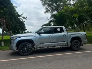 Toyota Tundra Platinum CrewMax 5.5' Bed 2024 Gray