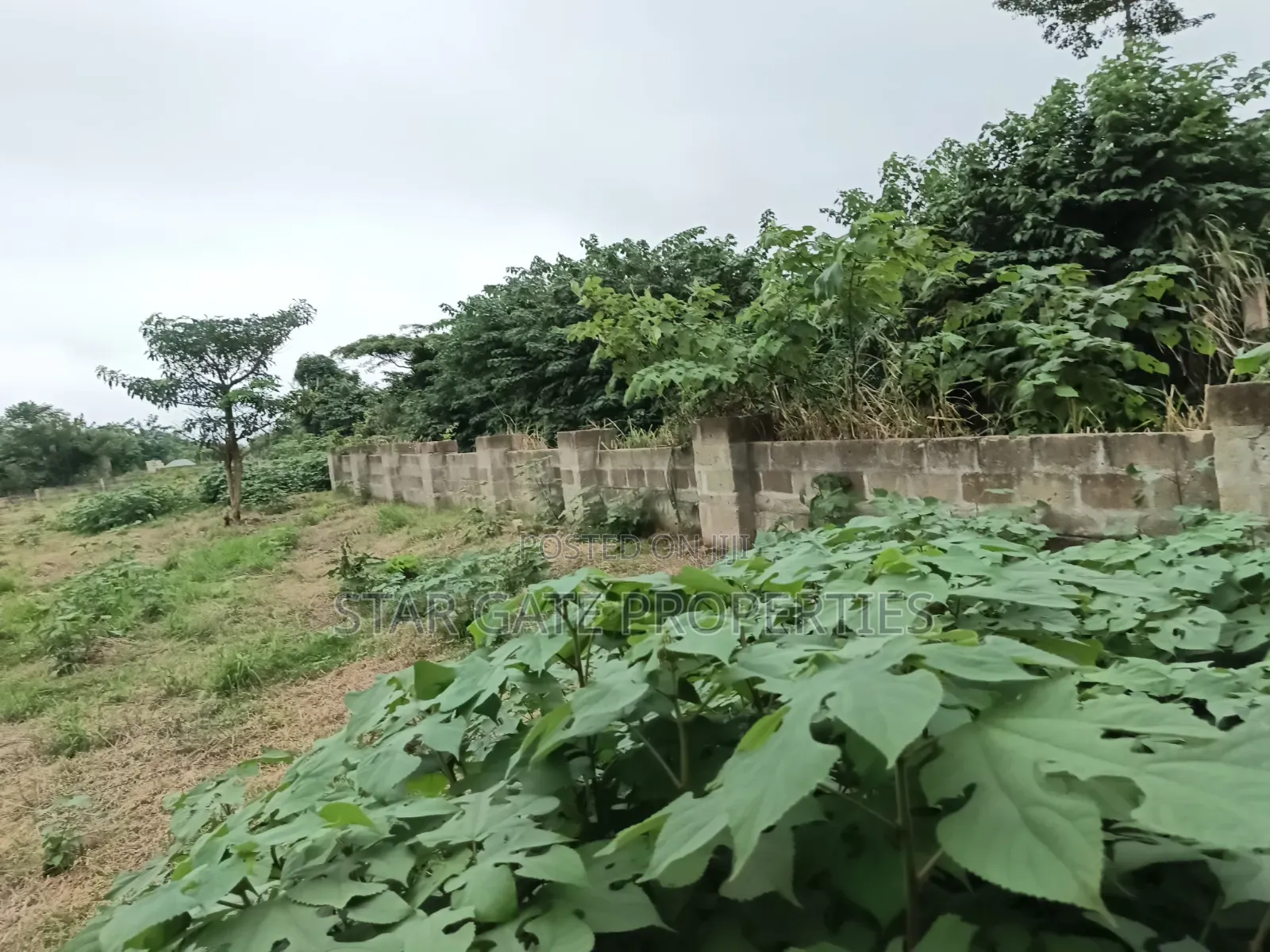 4 Plots for Sale at Ejisu K Lebi Jamasi ( Fully Fence Walled)