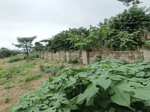 4 Plots for Sale at Ejisu K Lebi Jamasi ( Fully Fence Walled)