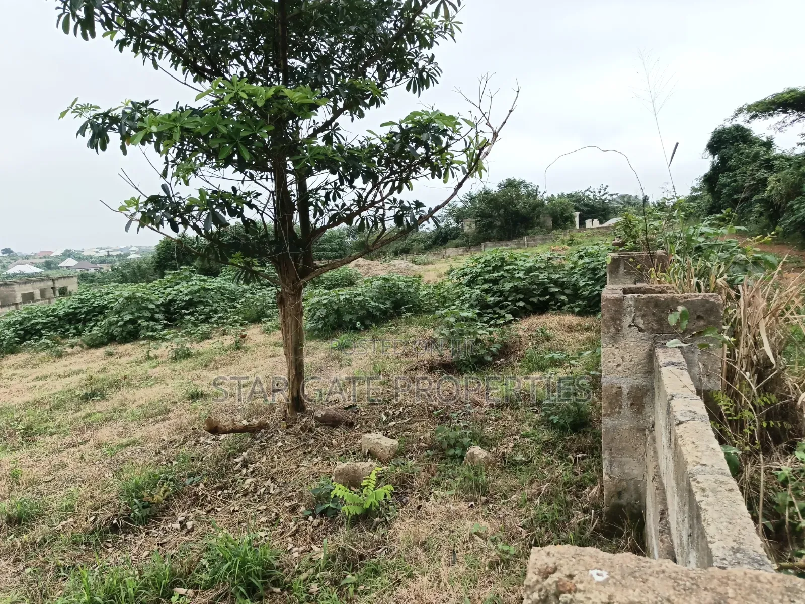 4 Plots for Sale at Ejisu K Lebi Jamasi ( Fully Fence Walled)