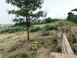4 Plots for Sale at Ejisu K Lebi Jamasi ( Fully Fence Walled)