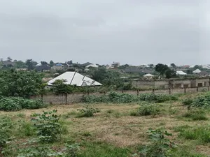 4 Plots for Sale at Ejisu K Lebi Jamasi ( Fully Fence Walled)