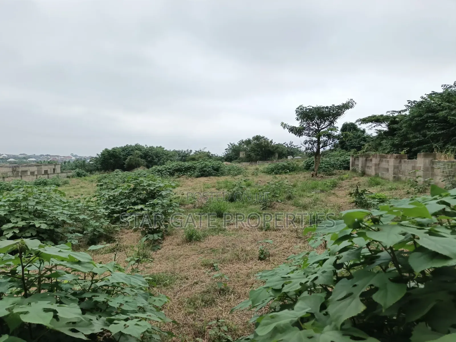 4 Plots for Sale at Ejisu K Lebi Jamasi ( Fully Fence Walled)
