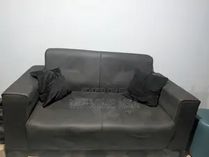 2 in One Sofa